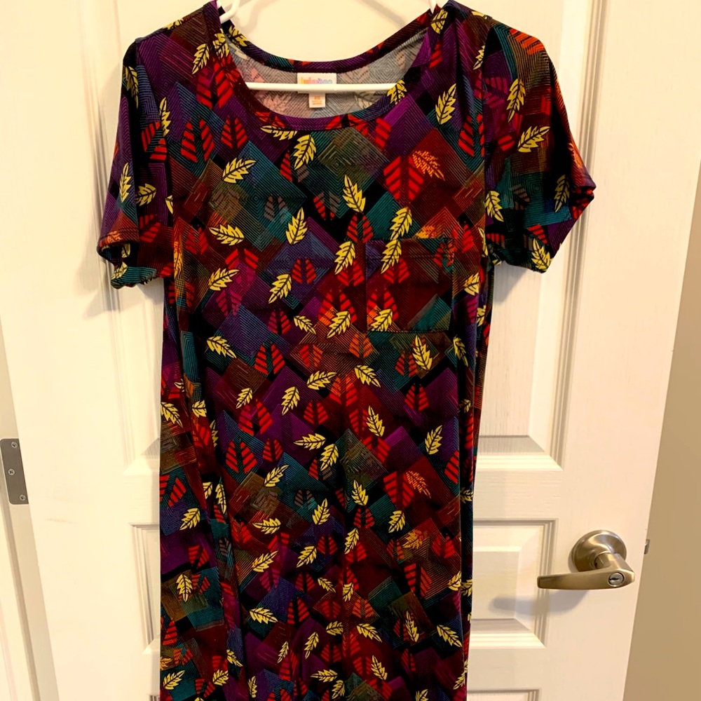 3 Lularoe Carly’s